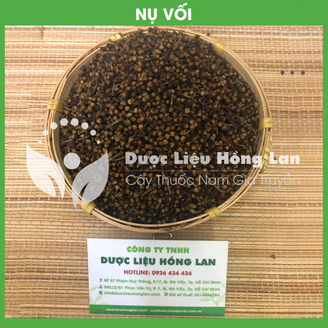 [FreeshipMAX] Nụ Vối khô đóng gói 250gr - Công Ty TNHH Dược Liệu Hồng Lan