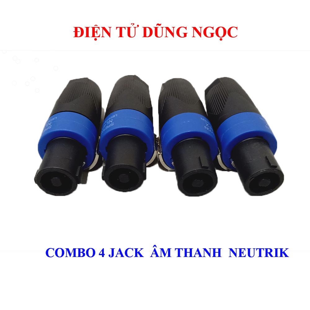 Combo 4 Jack  loa  Neutrik