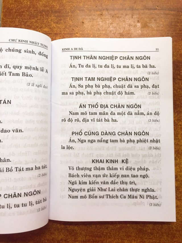 Sách - Chư Kinh Nhật Tụng