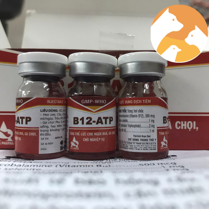 Thuốc gà đá B12 ATP [1 lọ x 5ml] Tăng thể lực gà đá, ngựa đua.