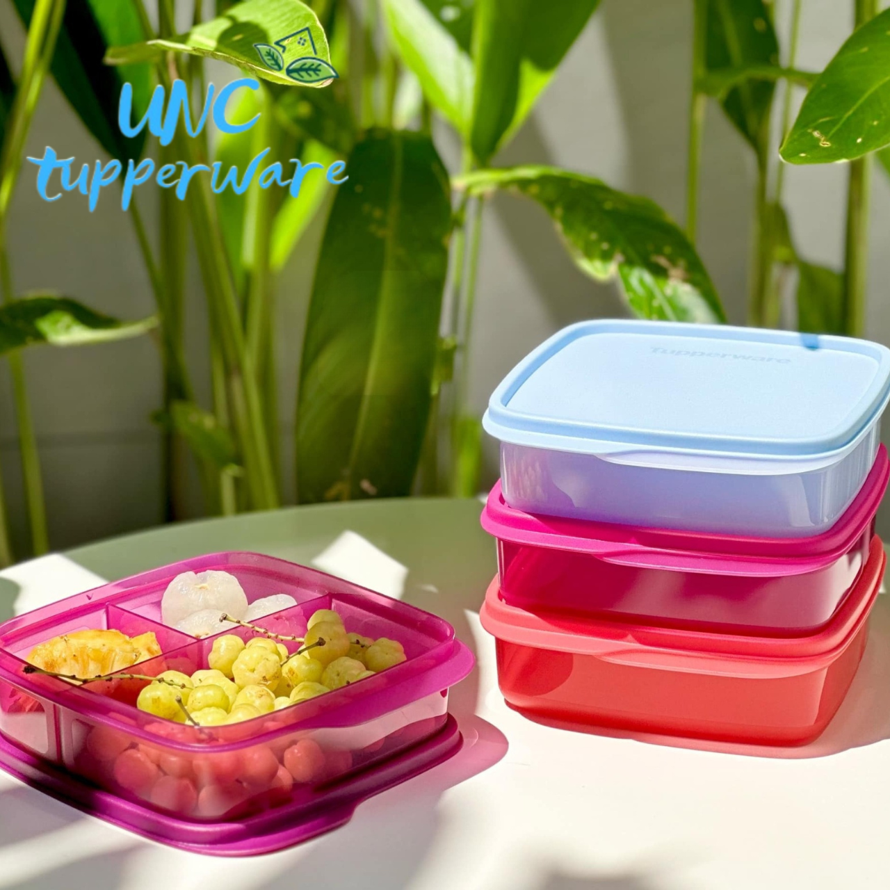 Hộp cơm Tupperware Lolly Tup 550ml