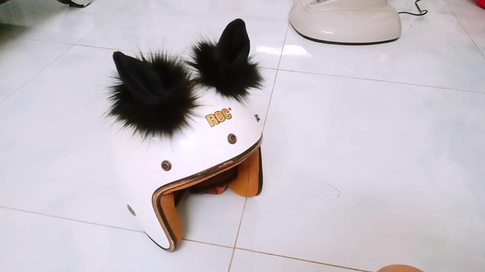 Tai mèo gắn nón bảo hiểm