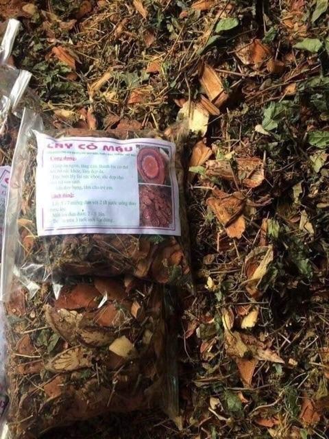 Cỏ Máu 1kg