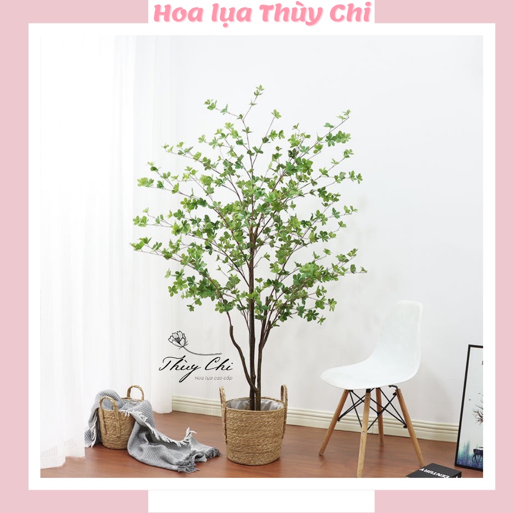 Cây thạch nam giả trang trí nhà cửa, văn phòng, quán cà phê - có video