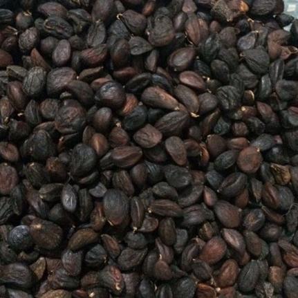 50g hạt dổi rừng tặng 500g mắc khén rừng