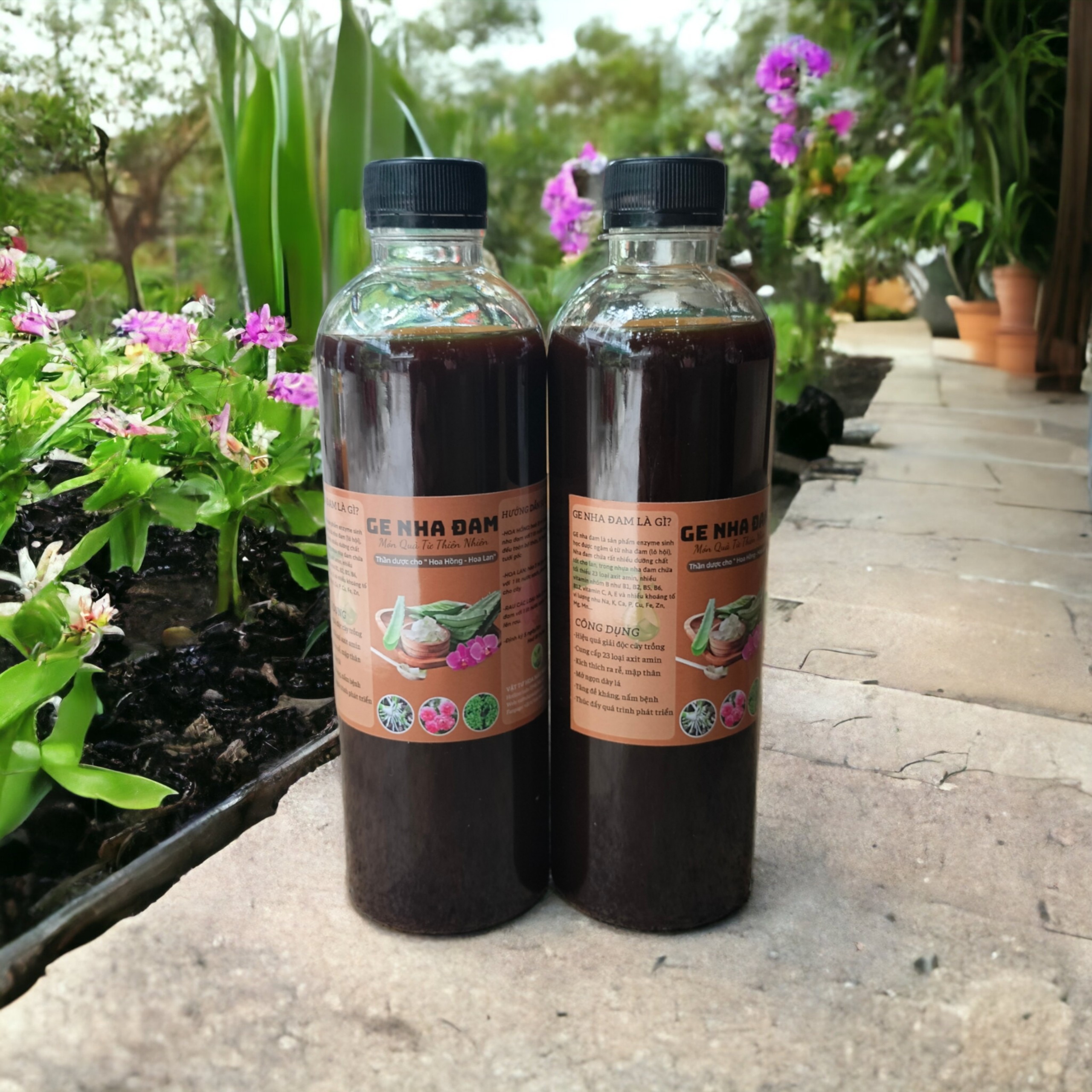 GE Nha Đam- Thần Dược Cho Cây Trồng-500ml