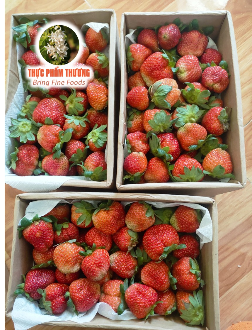 Fresh Strawberry (Origin of Produce: Dalat)