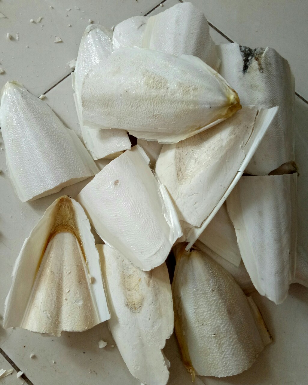1Kg  NAN MỰC VỠ  CHO CHIM,VẸT