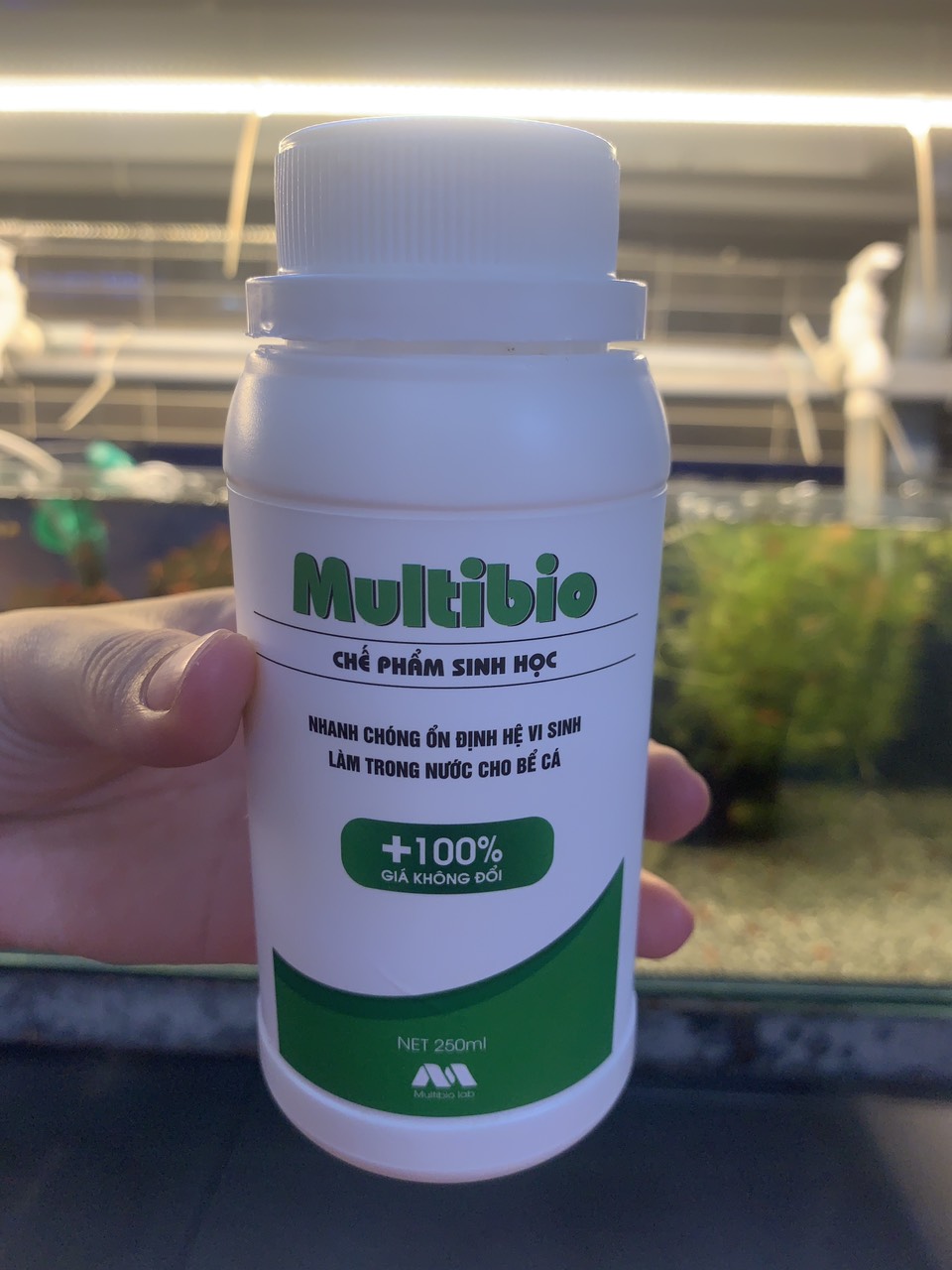 Vi sinh MultiBio giúp trong nước cho hồ cá cảnh, thủy sinh