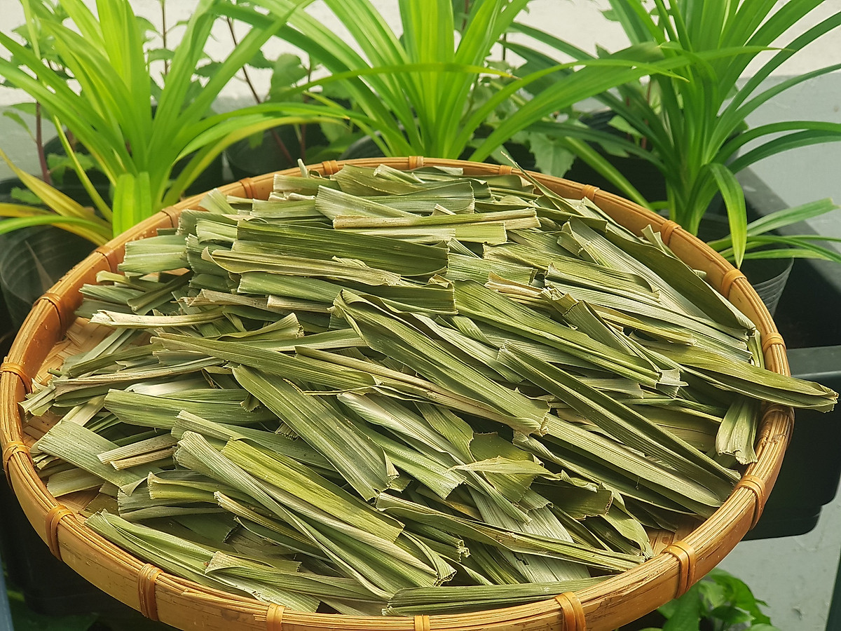 1Kg Lá nếp thơm lá dứa sấy khô nấu xôi nấu chè làm bánh - Lazada | Lazada.vn