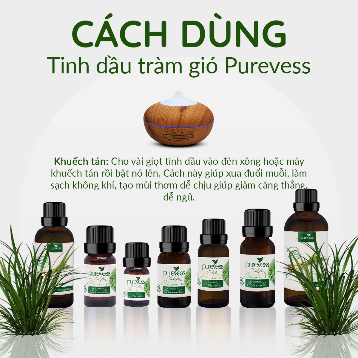 Tinh dầu Sả Java Purevess tinh dầu xông phòng tinh dầu đuổi muỗi