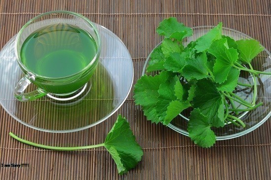 3 Trà rau má Quảng Thọ , ĐẶC SẢN HUẾ ( 3 hộp x 30 túi lọc x 2g )
