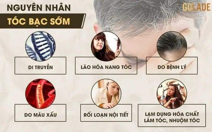 Dầu gội phủ bạc - GOLADE