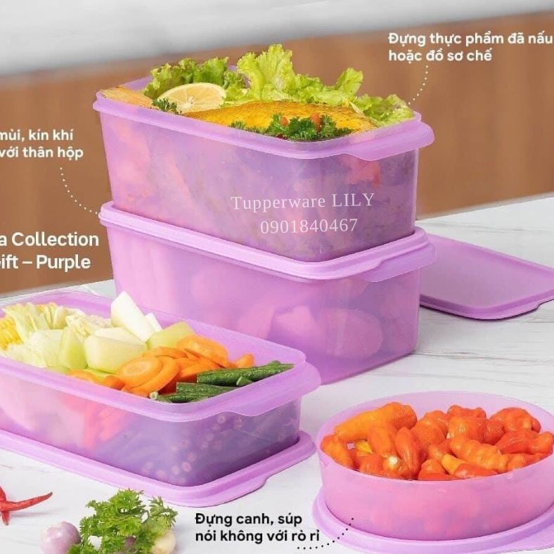 Bộ hộp trữ mát Freshia tím (5 hộp) Tupperware
