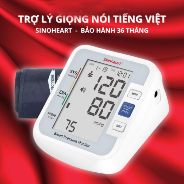 Nơi bán Máy đo huyết áp bắp tay Sinoheart BA-801 - Sinocare Công nghệ Đức