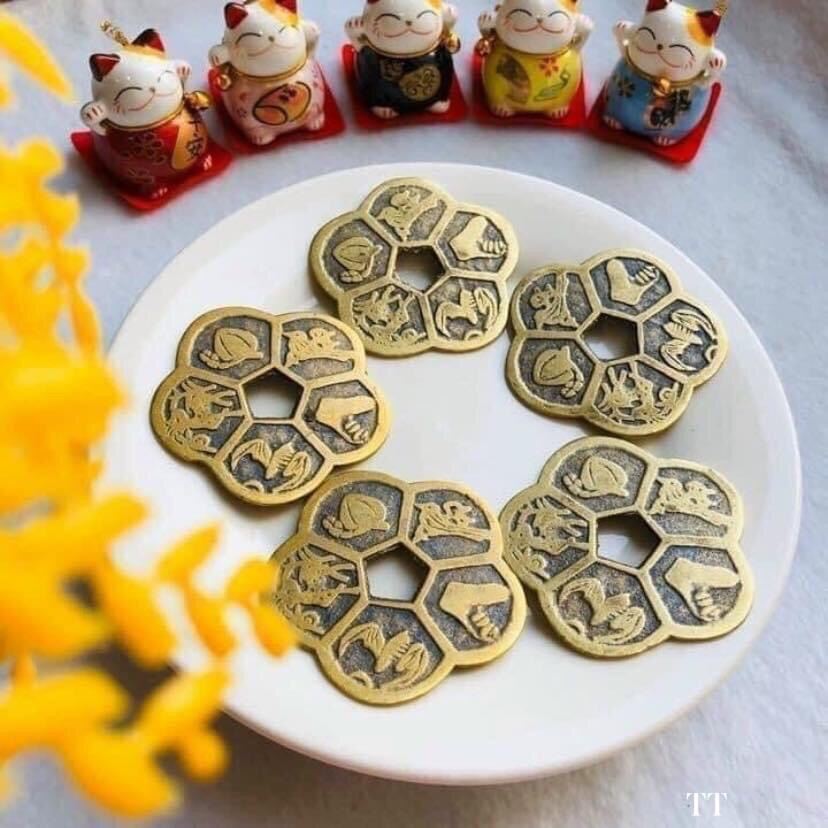 Hoa mai kIm tiền tài lộc