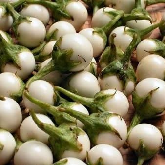 [HCM]20 Hạt giống cà pháo trắng sai quả