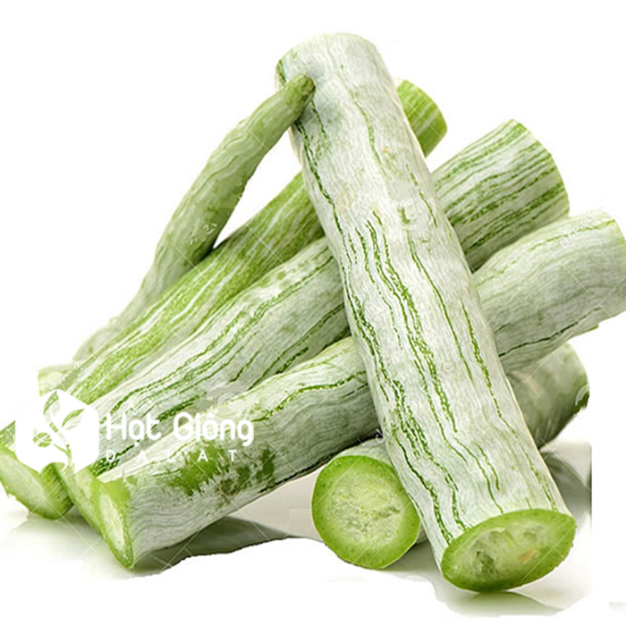 Hạt giống khổ qua tây ( Khổ qua tây trắng ) - Gói 2gram