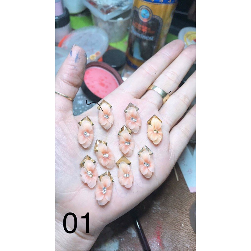 Hoa bột nail (hoa thược dược ôm đá) hoa bột giá sỉ