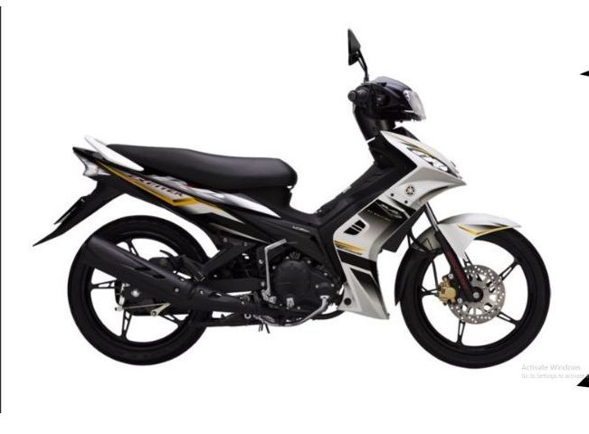 Tem exciter 2010 RC trắng xám đen