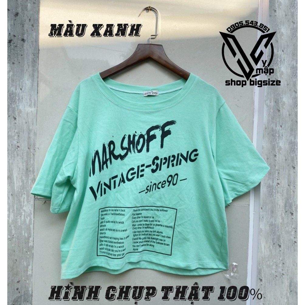 [HCM]Áo Thun Croptop Bigsize Nhiều Mẫu