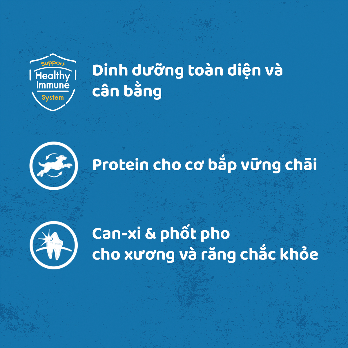 Bộ 12 Túi Thức Ăn Cho Chó Lớn PEDIGREE Dạng Sốt 130g.