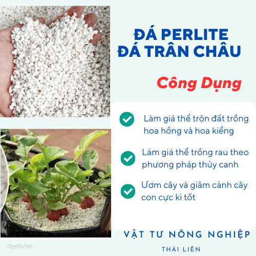 Đá perlite (100g) - Đá trân châu giàu khoáng chất