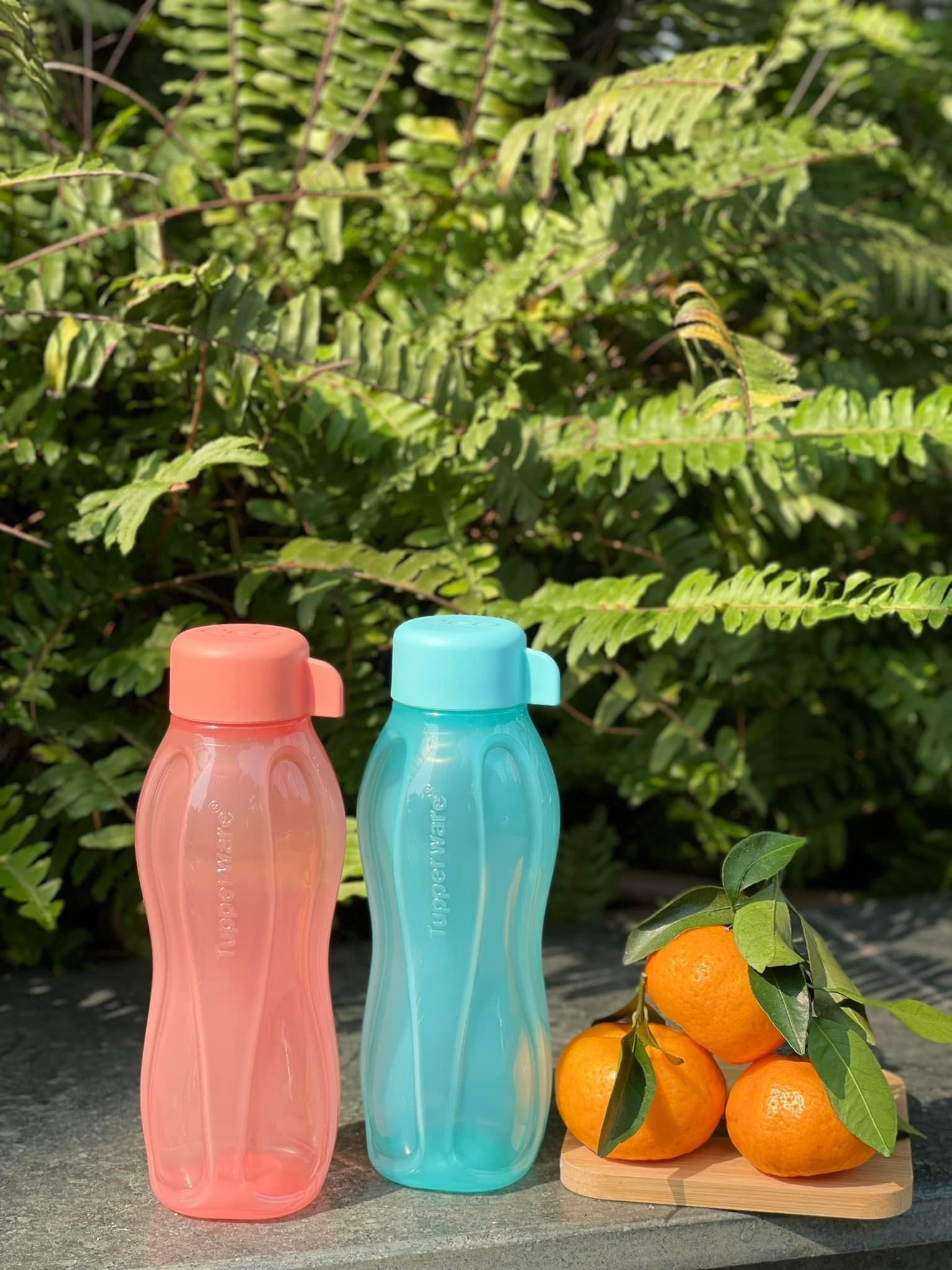 Bình nước Eco Bottle 310ml