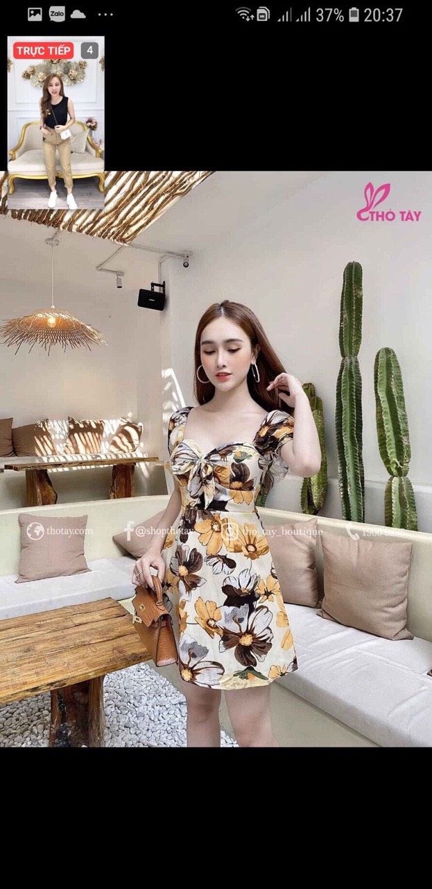 Đầm suông nữ, đầm suông xếp ly cột nơ ( có mút ngực )