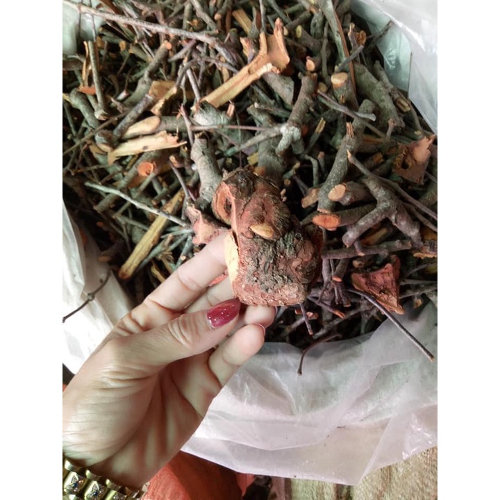 Tầm gửi gạo tía 1kg