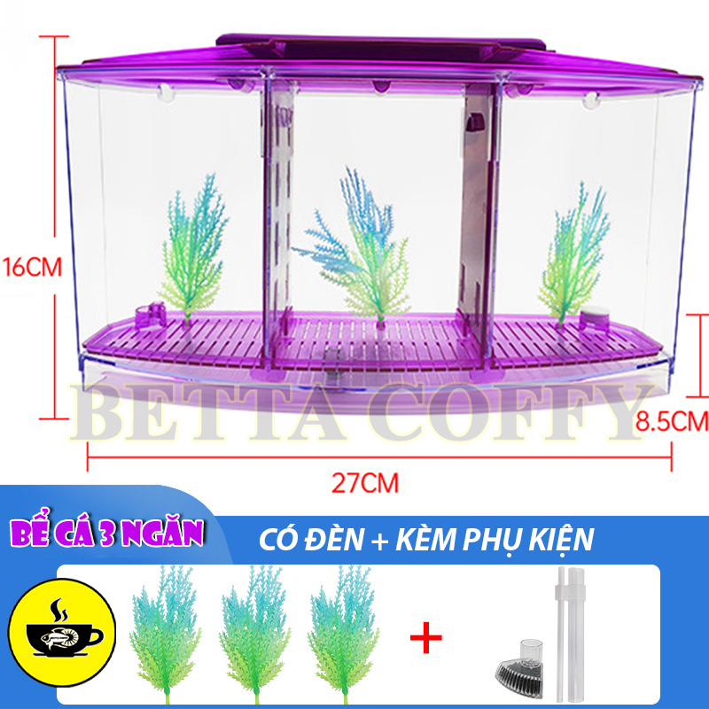 Bể Cá Mini 1 2 3 Ngăn - Hồ Nuôi Cá Cảnh nhỏ gọn bằng Nhựa Mica