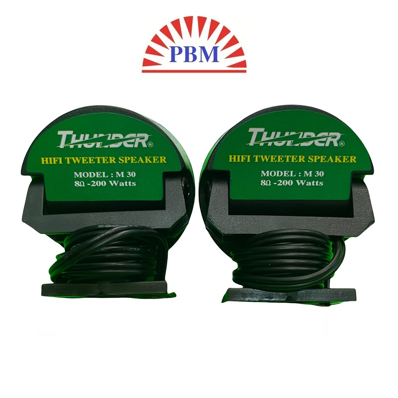 Loa chép rời 200W hiệu Thunder - Chính hãng.