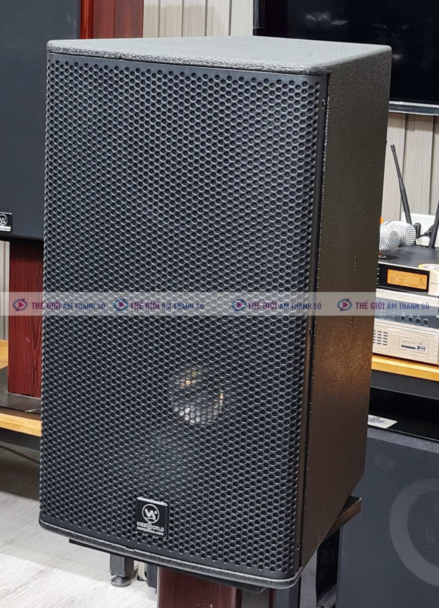 Loa Toàn Dải Weeworld D12