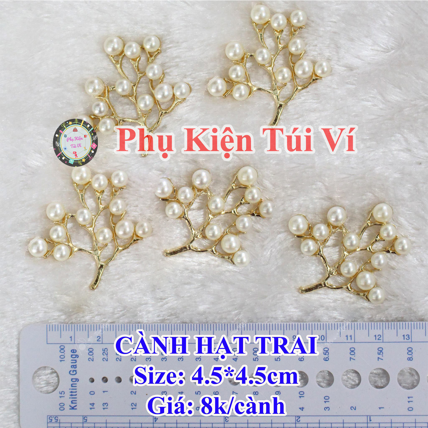 Cành Hạt Trai
