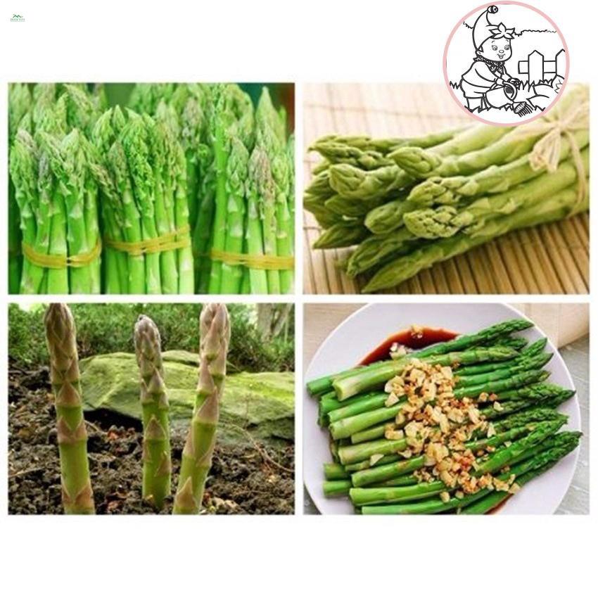 HẠT MĂNG TÂY - GÓI 10 HẠT