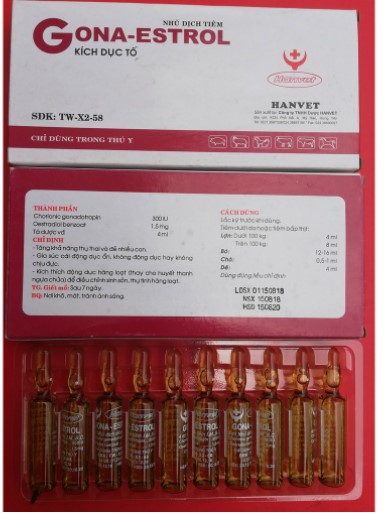 [ Hàng Chính Hãng] Oestradiol và Gona-Estrol 5 ml chuyên dùng cho gia súc, trâu, bò, lợn, dê, chó, thỏ