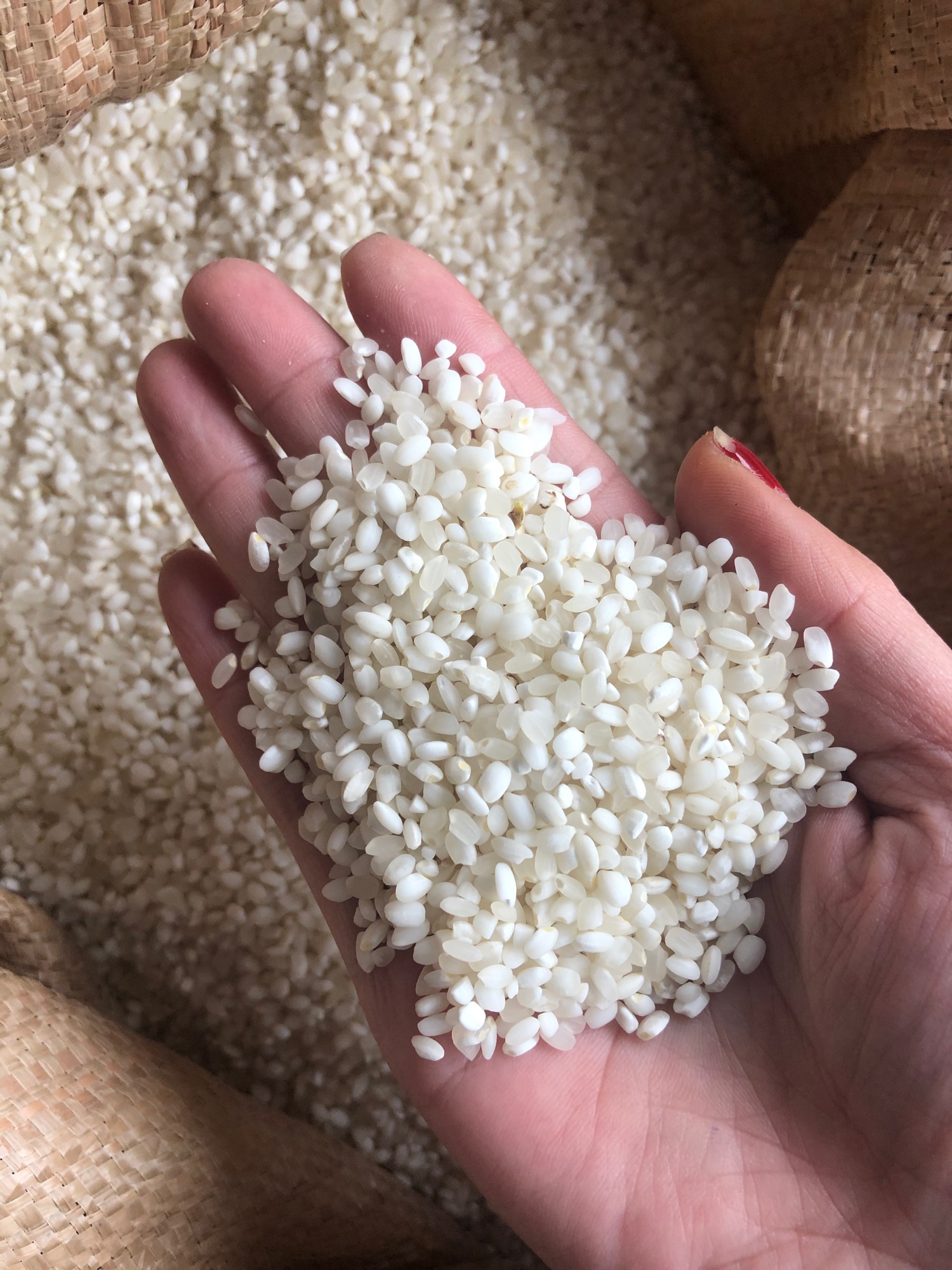 Gạo nếp tú lệ 115k /2kg