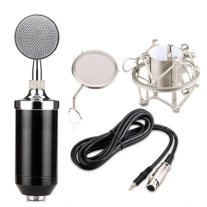 Micro hát Karaoke/ Thu âm chuyên nghiệp BM-8000