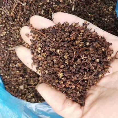 Mắc khén Tây Bắc (100gr) - Đặc Sản 27
