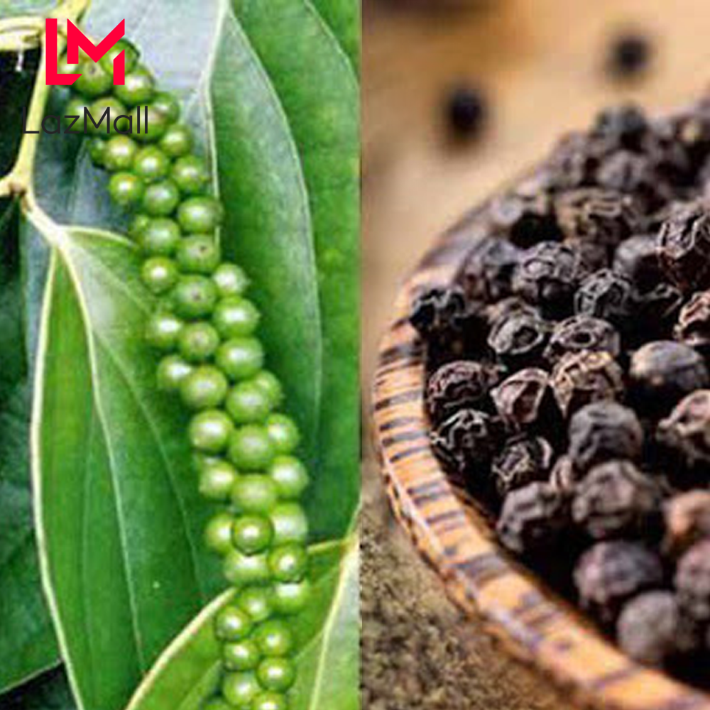 Tiêu đen Phú Quốc Nguyên hạt 500g