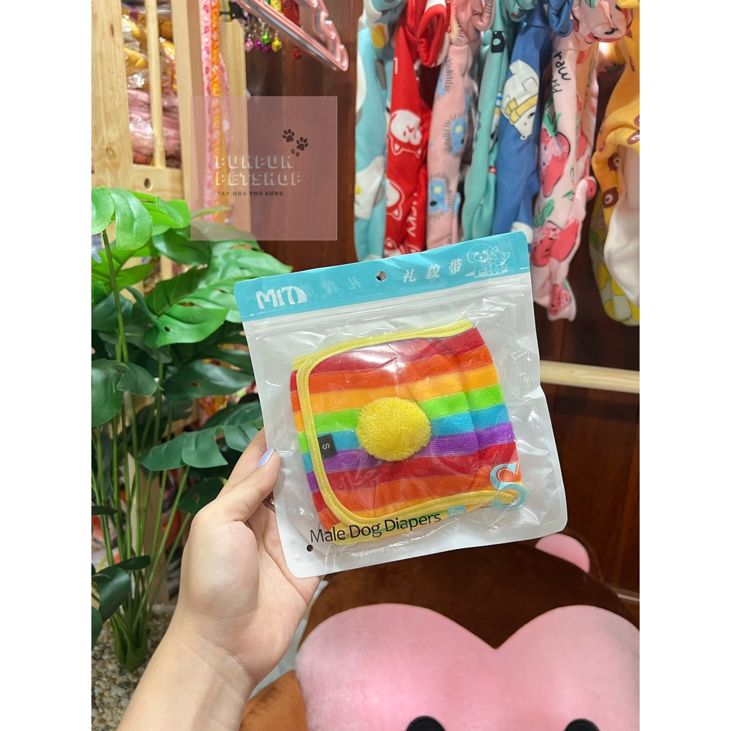 Quần tả cho chó đực đáng yêu