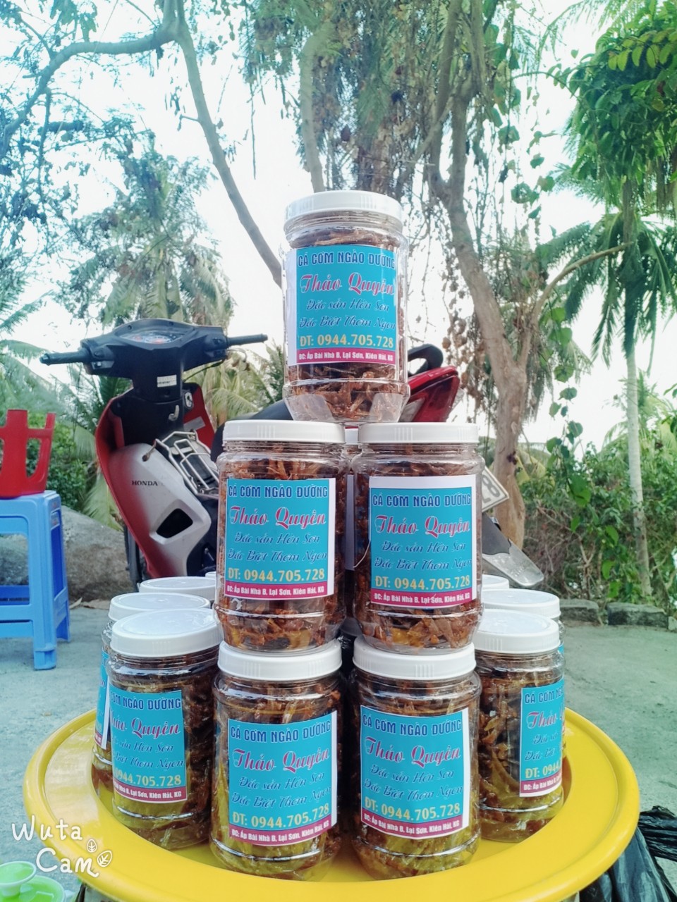 Cá Cơm Ngao Đường