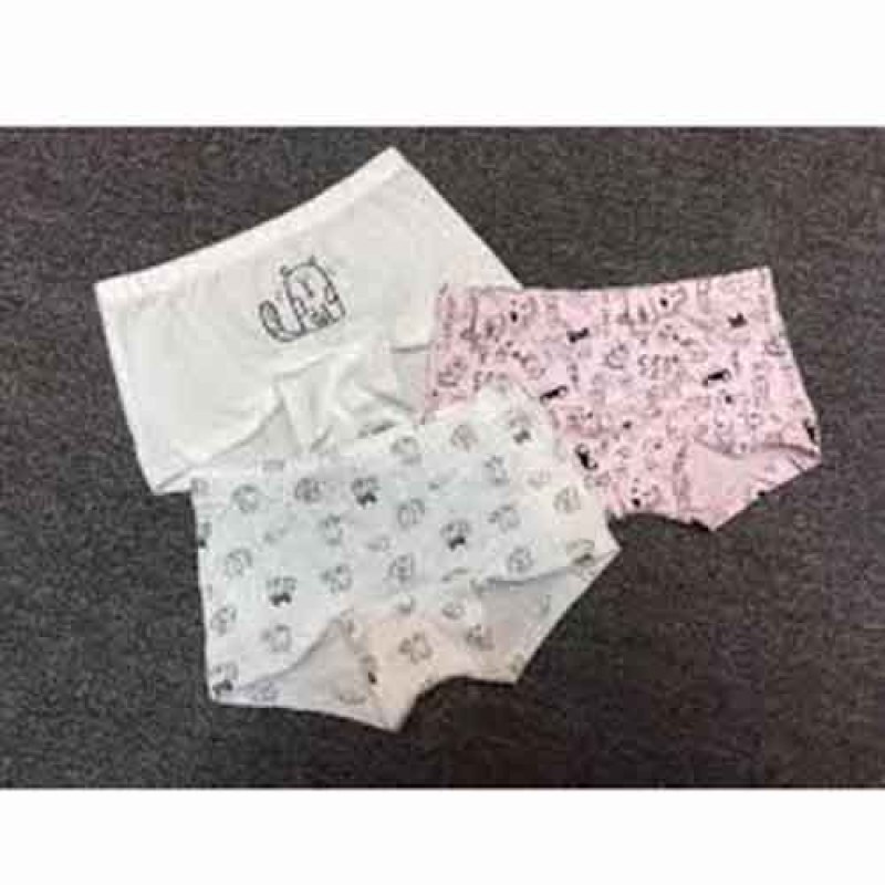 Nơi bán set 3 quần chip bé gái, quần chip cotton cao cấp cho bé gái, quần váy cho bé gái, quần chip đùi cho bé gái, quần chíp trẻ em, quần mặc trong váy
