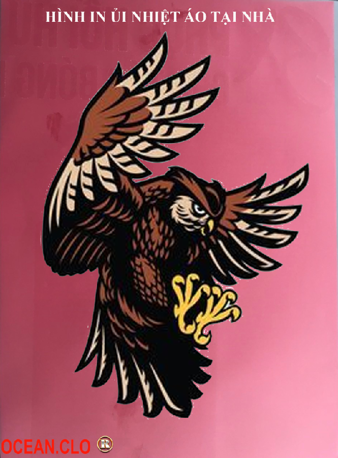 Sticker logo american eagle for iron clother