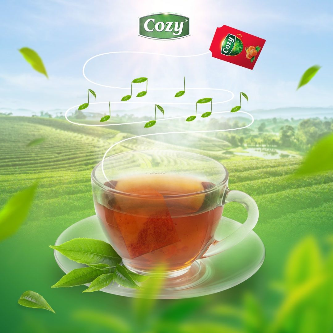 Tea filter bag cozy 50g (25 pack x 2G)