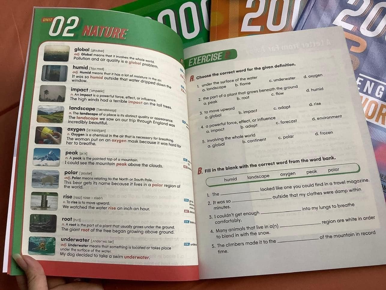 Color Print - 2000 Core English Words - 4Q