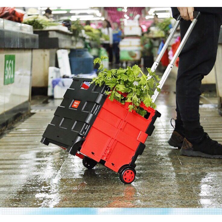 Xe đẩy hàng tiện dụng đi chợ đi chơi du lịch