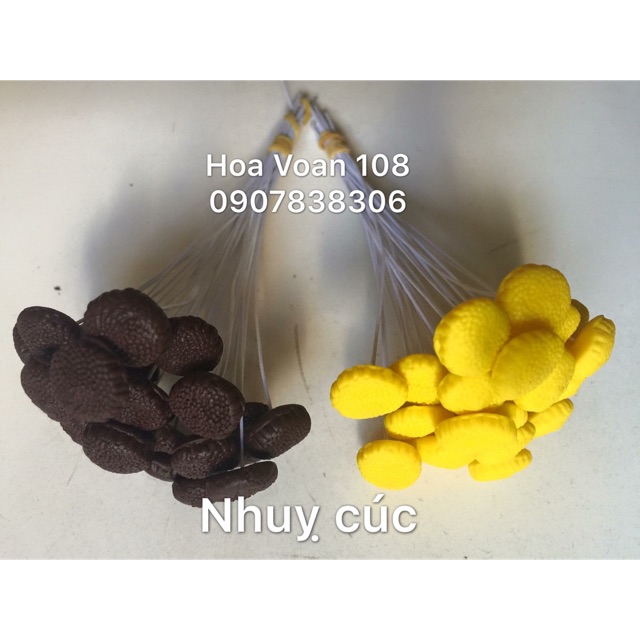 Nhuỵ cúc 1 bó 25 cái