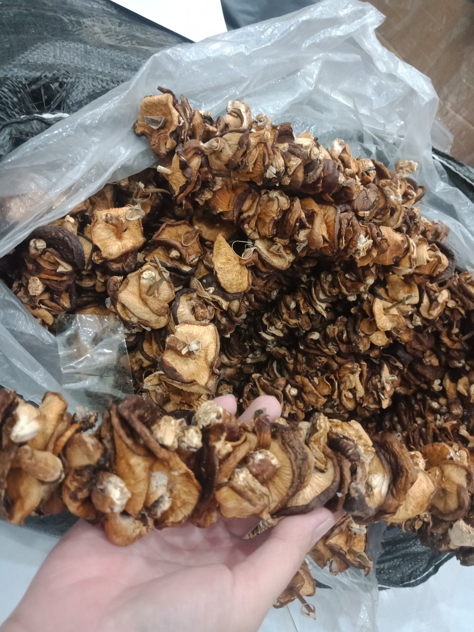 Nấm hương rừng 200gr