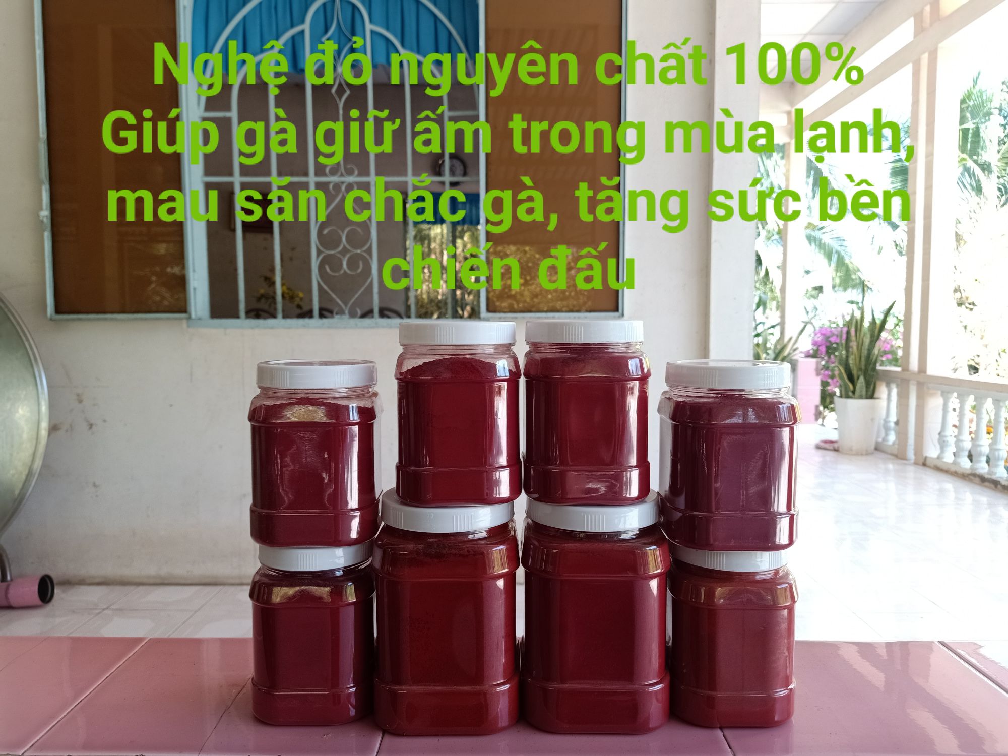 NGHỆ ĐỎ VÔ GÀ, KEO 0.5KG
